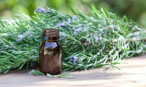 Is Rosemary Oil Good or Bad for Your Skin?